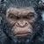 monkie-