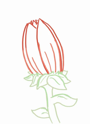 TST000-Tulip.png